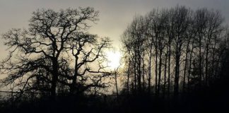 Caught this beautiful sunset…