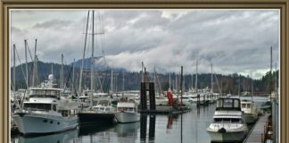Misty Reflections…