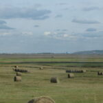 Ranch Lands of Alberta, Canada Olympic Ski Jump + Calgary in distance