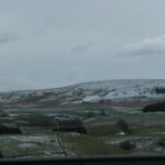 IMG_0516