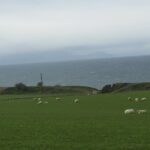 IMG_0534