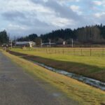 20150124_155406