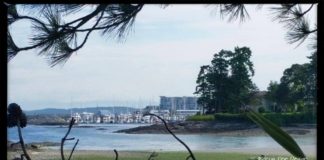 Almost a Tropical View…