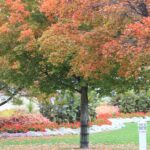 2015-10-08_00026