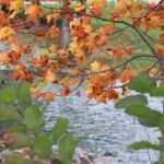 2015-10-08_00029