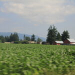 IMG_4867