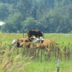 IMG_4873