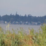 IMG_4878