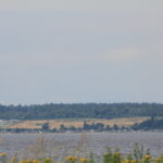IMG_4880