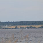 IMG_4881