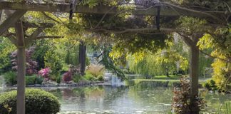 Capturing the Tranquility