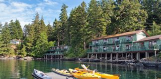 Road Trips ~ Best of Vancouver Island