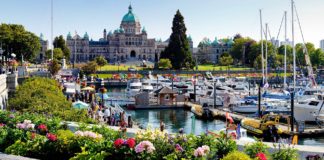 Drone Capturing Victoria, BC during COVID19