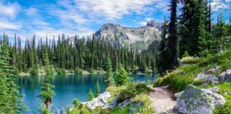 1st day of Spring – Amazing Media