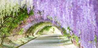 SPRING is in the AIR…