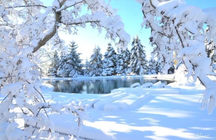 snow