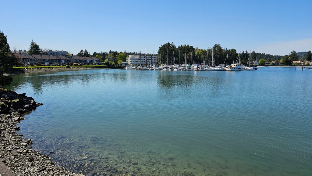 Tropical Views in Sidney-By-The-Sea