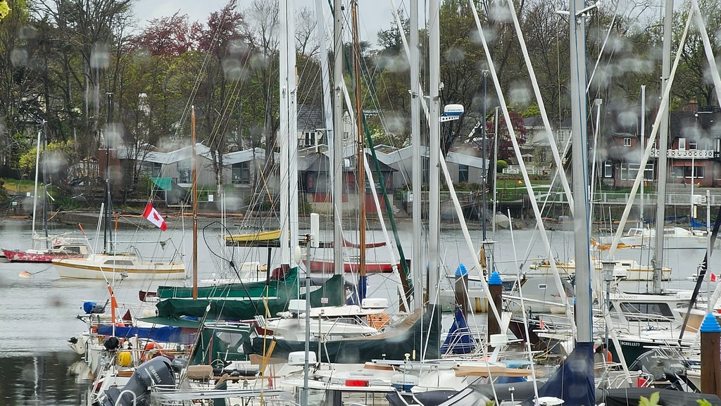 Rainy Afternoon @ the Marina
