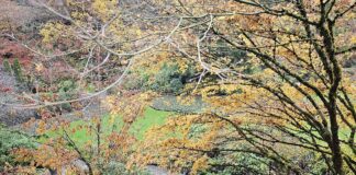 NEW Photo Gallery – Check It Out Fall Colors