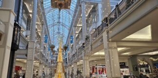 Seasons Greeting – NEW Photo Gallery