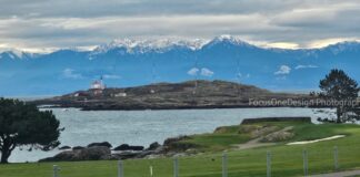 Early Spring – Olympic Mountains are Idyllic