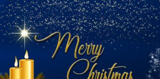 Merry Christmas Elf in Whistler